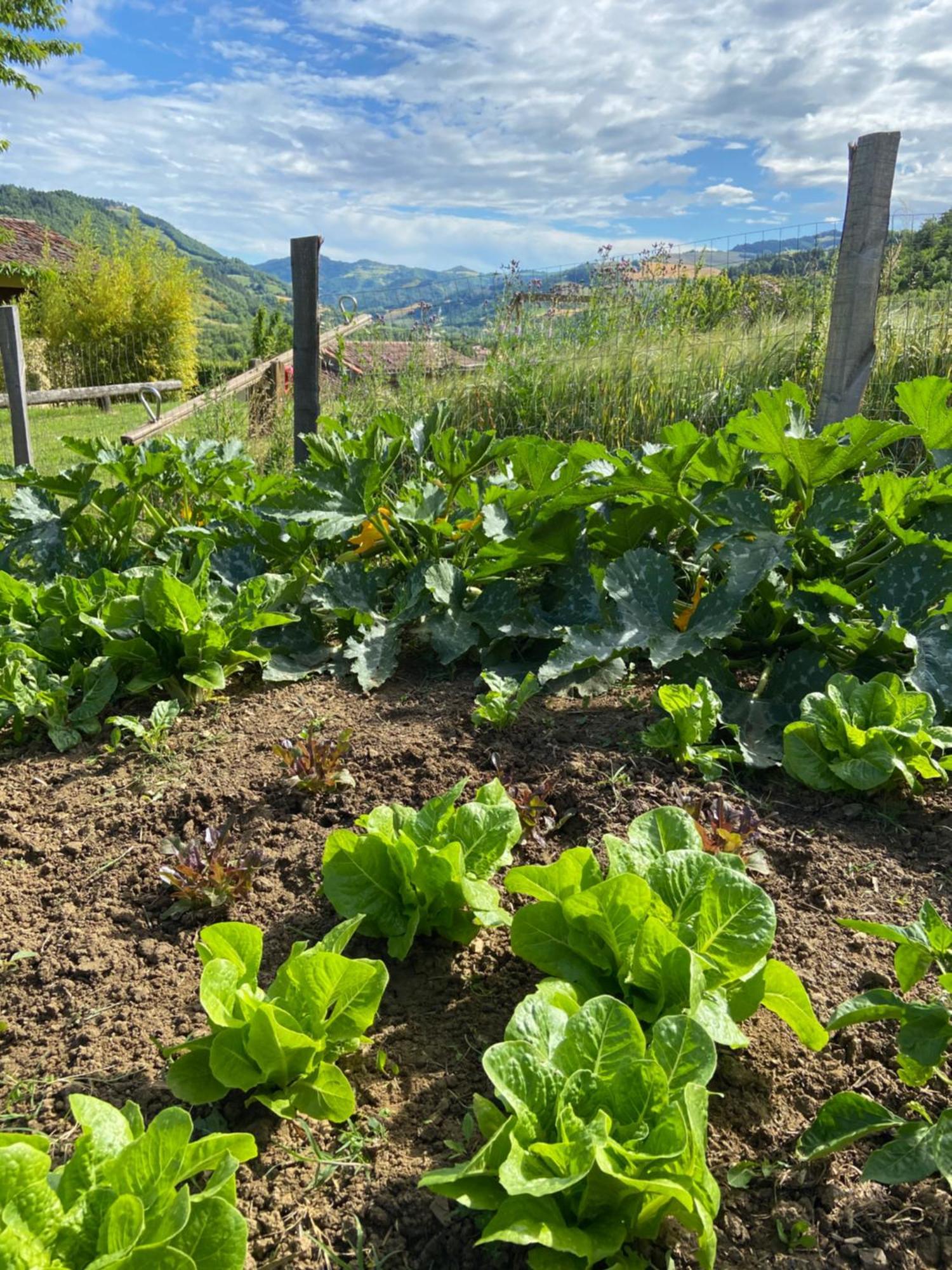 Agriturismo Popolano Di Sotto มาร์ราดิ ภายนอก รูปภาพ